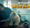 Mi pequeño león blanco