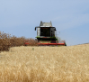 Los agricultores piden un precio "digno" para el cereal y no descartan movilizaciones