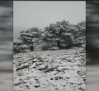 Llega la nieve a Castilla-La Mancha, caen los primeros copos en la Sierra de Albacete