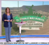 Despierta Player con Cristina Medina - 14/11/2024