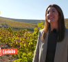 Con Carmen conocemos la Ciudad de Montilla y sus viñas