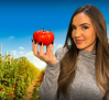 ¿Por qué los tomates no saben a tomate?