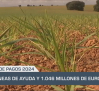 Agricultura hace balance de pagos de 2024 - 23/12/24