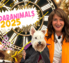 CAMPARANIMALS 2025: Amparo de Aguilar y Llanetes darán las campanadas en CMMPlay