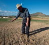 Diciembre fue el mes más seco en 64 años en Castilla-La Mancha