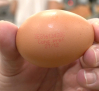 ¿Qué significa el código que llevan impreso los huevos?