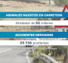 Un sistema informativo podría alertar de la presencia de animales en la carretera