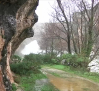 El pantano de Alcorlo en Guadalajara continúa desembalsando agua