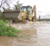 Animales de una finca inundada de Añover de Tajo tienen que ser rescatados