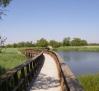 El Parque Nacional de Las Tablas de Daimiel recibe aportes de agua del río Gigüela