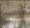 Cortes de carretera: en Liétor por la caída de un árbol y en Cardiel de los Montes por inundaciones