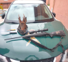 Dos detenidos por caza furtiva en Canales de Molina