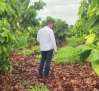 Moisés, el dueño de la plantación más grande de cacao del mundo