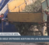 Todavía sigue entrando aceituna en las almazaras - 27/03/25