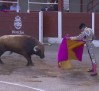 Corrida mixta desde Horche (01/05/2025)