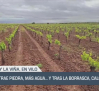 Mayo trae piedra, más agua y, tras la borrasca, calor - 02/05/25