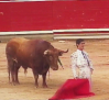 Pamplona