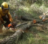 Campaña de prevención de incendios