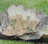 Preocupación de los regantes por el derrumbe de un talud del Canal del Henares