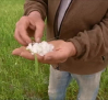 Una granizada en Casasimarro ocasiona grandes daños en el campo