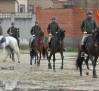 La guardia real realiza una exhibición en Talavera de la Reina