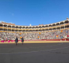 Tiempo de toros (10/05/2025)