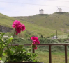 Apartamentos Consuegra con vistas a los molinos de viento