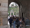 Un centenar de alergólogos recorren Toledo para conocer las plantas y árboles que provocan las alergias que luego tratan en sus consultas