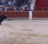 Corrida de toros desde Albacete (10/05/2025)