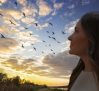 El impacto del clima en las aves migratorias