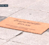 General conciencia social sobre el acogimiento familiar
