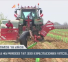 España ha perdido 187.000 hectáreas explotaciones vitivinícolas - 16/05/25