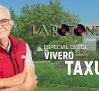 Especial La rotonda desde Vivero Taxus (20/05/2025)