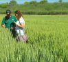 El Centro de Investigación Agraria de Marchamalo abre sus puertas a los agricultores de Guadalajara