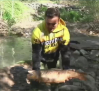 Castilla-La Mancha no descarta sancionar a la Confederación Hidrográfica del Tajo por la muerte de peces en Entrepeñas y Buendía