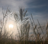 Aviso amarillo por tormentas en Toledo y calor en Albacete y Cuenca