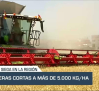 Comienza la siega en la región - 30/05/25