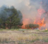 Incendio de nivel 1 en La Puebla de Almoradiel