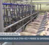La leche manchega baja otra vez y pierde su diferencial - 03/06/25