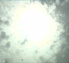 Corpus Christi en aviso amarillo por calor, lluvias y tormentas