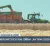 Los comerciantes de cereales esperan una "gran cosecha" - 05/06/25
