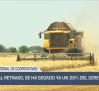 Pese al retraso, se ha segado ya un 20 % del cereal - 10/06/25