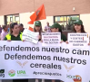 Agricultores de Guadalajara piden poner freno a las importaciones de cereal ucraniano