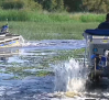 Labores de Mantenimiento en las Tablas de Daimiel