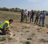 Nuevas medidas de emergencia contra la sobrepoblación de conejos en Toledo, Cuenca y Ciudad Real