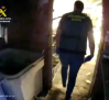 Desmantelada una plantación de marihuana en el interior de una nave en Lillo (Toledo)