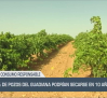 El 20 % de los pozos del Guadiana podría secarse en 10 años - 16/06/25