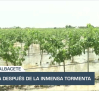 La noche en titulares - 16/06/2025