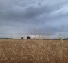 Las tormentas ponen en aviso naranja las comarcas de Hellín y Almansa y al resto en aviso amarillo