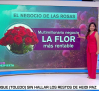 El multimillonario negocio de las rosas
